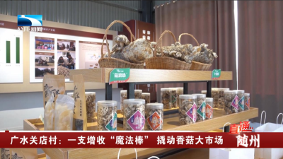 广水关店村：一支增收“魔法棒” 撬动香菇大市场