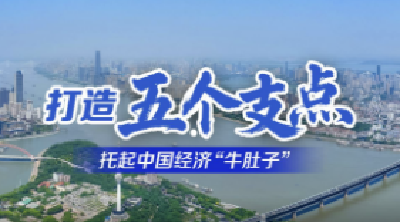 打造“五个支点” 托起中国经济“牛肚子”