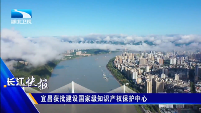 宜昌获批建设国家级知识产权保护中心