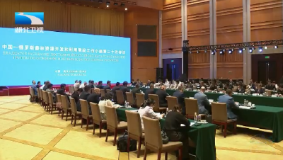 中俄森林资源开发和利用常设工作组第二十次会议在武汉举行