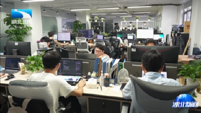 锲而不舍落实中央八项规定精神丨武汉市武昌区：“零号员工”进企业 从“等需求”变“挖需求”
