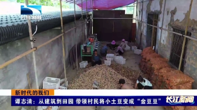 谭志清：从建筑到田园 带领村民将小土豆变成“金豆豆”