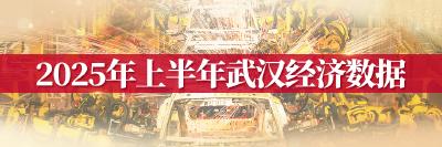 武汉科技创新，企业唱主角