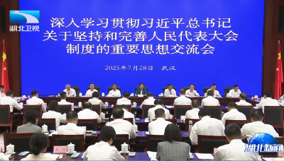 省人大常委会深入学习贯彻习近平总书记关于坚持和完善人民代表大会制度的重要思想交流会在汉举行