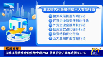 权威发布 | 湖北实施优化金融供给专项行动 信用贷款占比年底提至40%