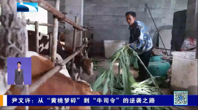 尹文许：从“黄桃梦碎”到“牛司令”的逆袭之路