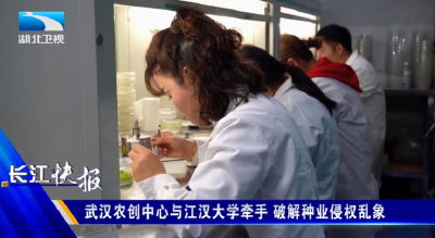 武汉农创中心与江汉大学牵手 破解种业侵权乱象
