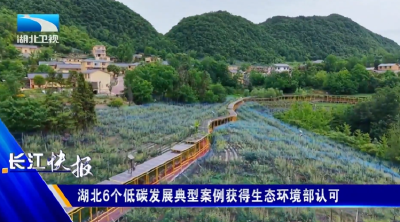 湖北6个低碳发展典型案例获得生态环境部认可