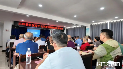 暖心！枝江有支银龄志愿服务队