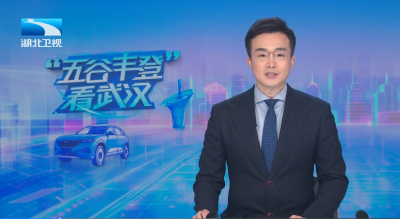 长江评论：聚势成“谷” 聚的是创新力和国际竞争力