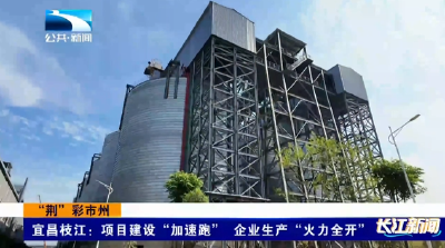 “荆”彩市州 | 宜昌枝江：项目建设“加速跑” 企业生产“火力全开”