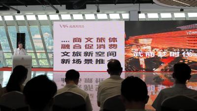 七大新场景 百家商户让利 武汉市武昌区文旅体商融合促消费活动启动