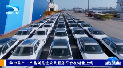 华中首个！产品碳足迹公共服务平台在湖北上线