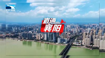 直通襄阳 | 强化乡情招商精准服务 吸引“南飞雁”回乡“筑巢”