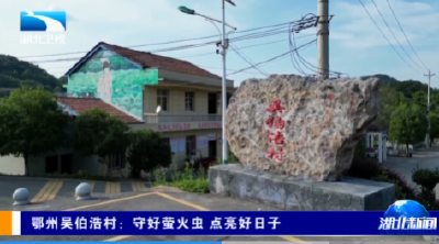 鄂州吴伯浩村：守好萤火虫 点亮好日子