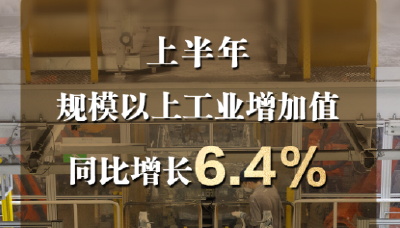 今年上半年规模以上工业增加值同比增长6.4% 展现出较强韧性
