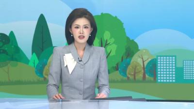 长期喝茶的人有什么不一样？每天喝够3杯茶的人，大脑变了！