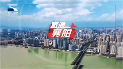 直通襄阳 | 襄州区：提能力 建机制 促担当 为湖北支点建设注入新动能
