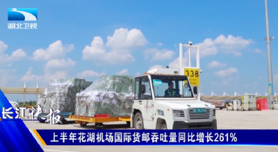 上半年花湖机场国际货邮吞吐量同比增长261%