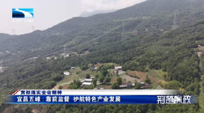 贯彻落实全会精神丨宜昌五峰：靠前监督 护航特色产业发展