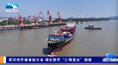 武汉经开港首航日本 湖北新开“江海直达”通道