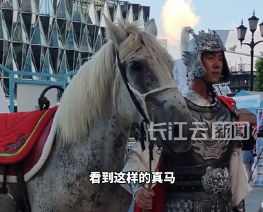 赤壁“宝马”与“周瑜”现身汉街，英姿飒爽上演三国文化秀