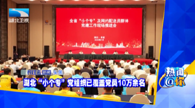 湖北“小个专”党组织已覆盖党员10万余名