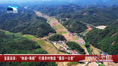 宜昌远安：“快递+商超” 打通农村物流“最后一公里”