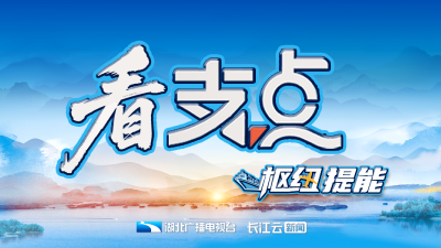 看支点丨枢纽提能 提升支点开放辐射力