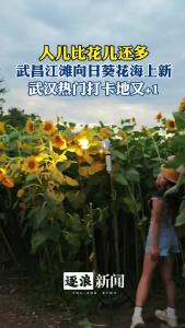 人人人人人人人！看花的人比花还多！
