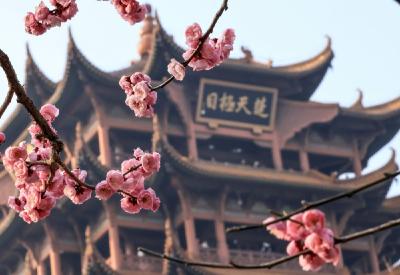 楚风汉韵，“融”铸风流|新华走笔