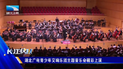 湖北广电青少年交响乐团主题音乐会精彩上演