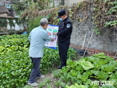 湖北今年21人因非法种植罂粟被刑事打击