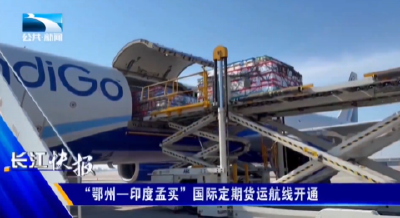 “鄂州—印度孟买”国际定期货运航线开通
