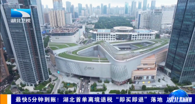 最快5分钟到账！湖北首单离境退税“即买即退”落地