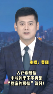 长江评论：入户调研后 丰收的李子不再是“甜蜜的烦恼”真好！