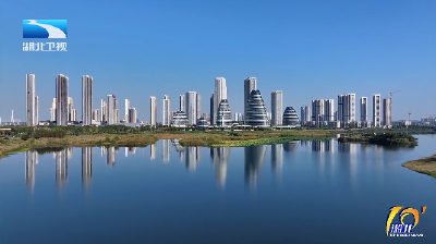 “五谷丰登”看武汉 高能级城市进化论丨数说武汉“谷”指数