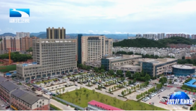 锲而不舍落实中央八项规定精神丨咸宁崇阳：让新手爸妈不再多跑路