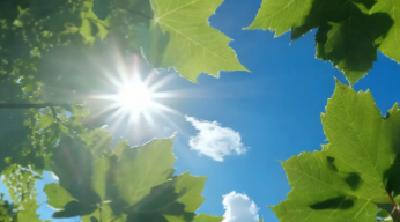 今晨湖北连发28条高温橙色预警 局地最高温达40°C以上