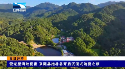 萤光星海映夏夜 来随县抱朴谷开启沉浸式消夏之旅