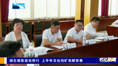 湖北地质追光而行 上半年交出找矿亮眼答卷