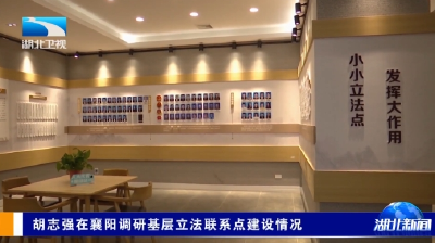 胡志强在襄阳调研基层立法联系点建设情况