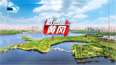 直通黄冈 | 锲而不舍落实中央八项规定精神