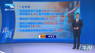长江评论·本周丨中国经济光明论的“中部投射”