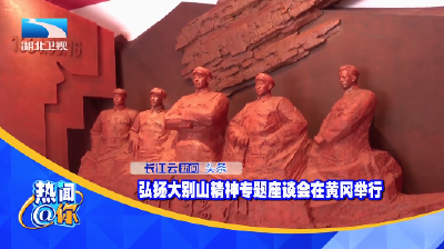 弘扬大别山精神专题座谈会在黄冈举行