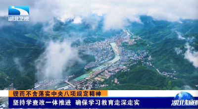 锲而不舍落实中央八项规定精神 | 坚持学查改一体推进 确保学习教育走深走实