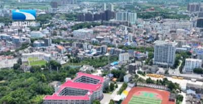 锲而不舍落实中央八项规定精神 | 荆州松滋：“小松帮办”跑腿 群众办事不愁