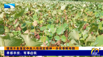 锲而不舍落实中央八项规定精神·办实事解难题 | 孝感农技：有事@我