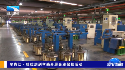 尔肯江·吐拉洪到孝感开展企业帮扶活动