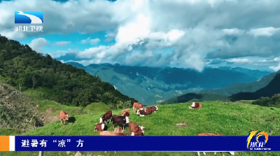 避暑有“凉”方